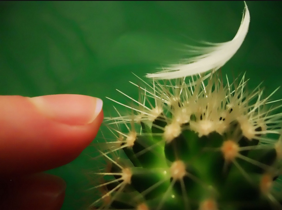 Fisioterapia: ¿Qué es la Sensibilidad?