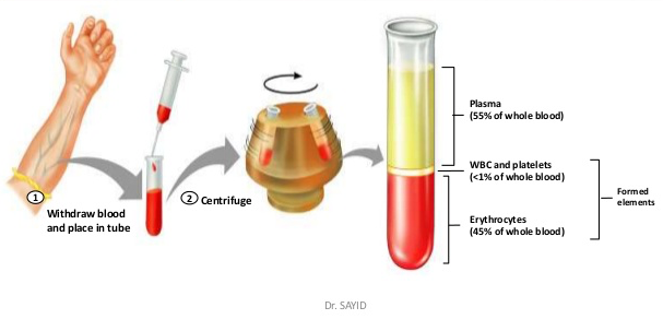 Biocuriosidades: El hematocrito y los ciclistas