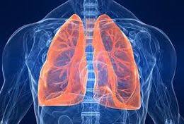 Ventilación pulmonar - EcuRed