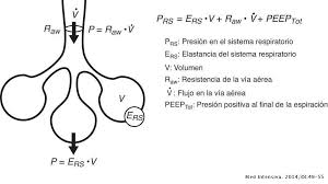 Monitorización de la mecánica respiratoria en el paciente ventilado |  Medicina Intensiva