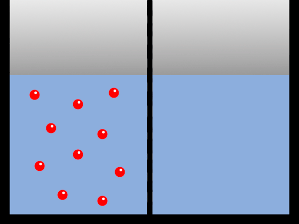 PROYECTO NAUTILUS: La ósmosis